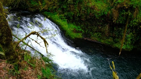 Drake Falls, Silver Falls State Park, Oregon Stock Footage 89805714