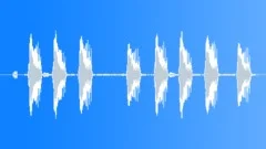 Drakensberg rockjumper callingSound Effect