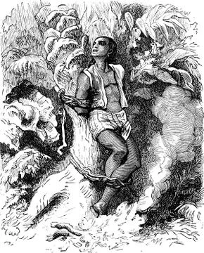 Dramas of India. The trunk of a palm tree, a human creature was attached, vin Stock Illustration