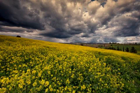 Dramati sky Foto stock