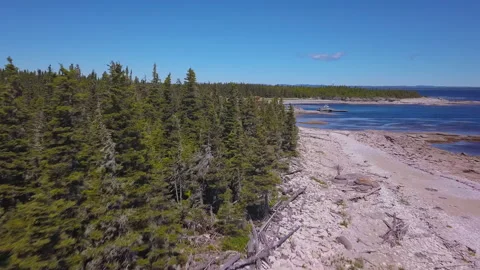 Dramatic 4K Aerial Shot over forest / Mingan Bay Stock Footage 204871916