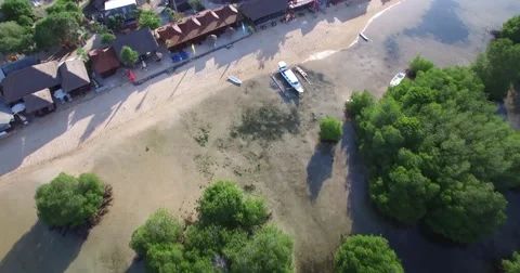 DRAMATIC 4K FLY OVER CLOSE UP OF MANGROVE FOREST Stock Footage 60047715