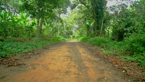 Dramatic 4k video of country backroads of the Caribbean mountains of Dominican. Stock Footage 142226696