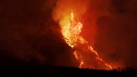 Dramatic 4K Wildfire Engulfing Forest under Night Sky 스톡 동영상 323838466