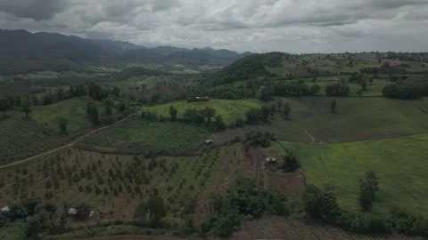 Dramatic Aerial of Approaching Rainstorm Over Mixed Cropland and Tropical F.. Stock Footage 337883692