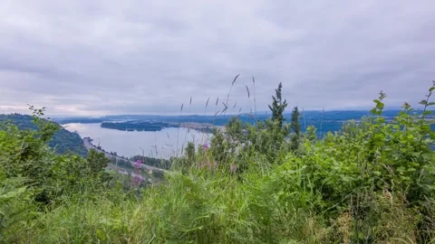 Dramatic Aerial of Columbia River Gorge in the Pacific Northwest with River, For Stock Footage 309326052