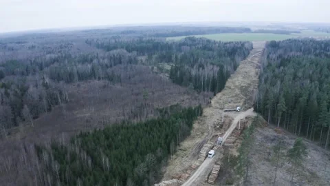 Dramatic aerial drone view of tree cutting work place. Stock Footage 145443627