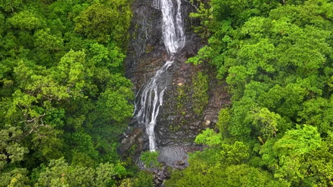 Dramatic aerial footage of waterfall cascading through tropical rainforest Stock Footage 304692426