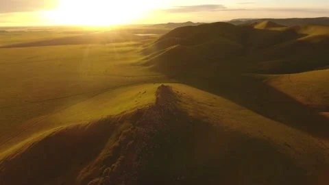 Dramatic Aerial Rolling Hills Of Central California at Sunrise Golden Light Stock Footage 146550869