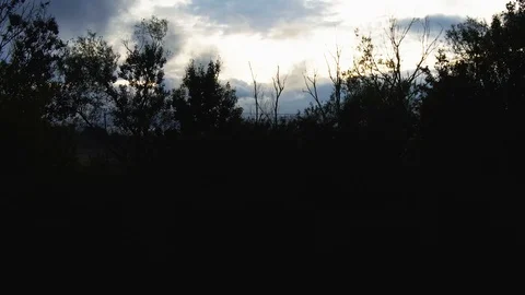 Dramatic Aerial Shot of Beautiful Evening Sky Revealing Over Trees Stock Footage 117276248