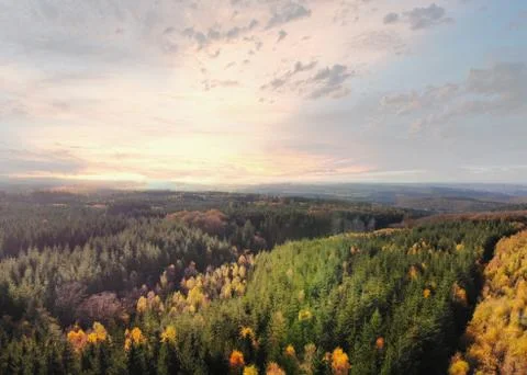 Dramatic aerial sunset over the pine tree forest in autumn in the Ardennes, B Stock Photos