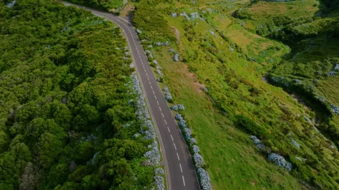Dramatic Aerial Top Down Drone Video of an Empty Mountain Road Lined with Stockbeeldmateriaal 335215231
