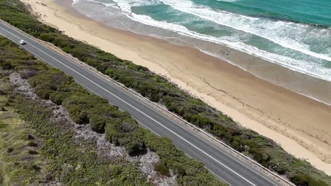 Dramatic Aerial Top-Down View of Deep Blue Pacific Rushing Over Reefs Vídeo Stock 314564331