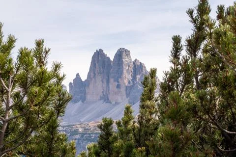 Dramatic Alpine Rock Towers Framed by Mountain Pine Trees in the Dolomites Stock-Fotos