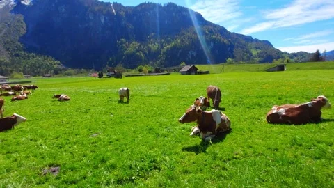 Dramatic Alpine Valley Panorama with Snow-Capped Peaks, Brienz 4K Stock Footage 341279766