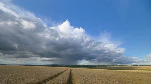 A Dramatic and Beautiful Sky Over Expansive wheat Fields Right Before a Coming R Stock Photos