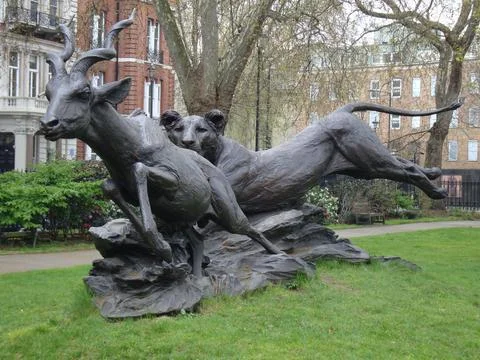 Dramatic and dynamic outdoor sculpture in a London park of a lioness chasing an Stock Photos