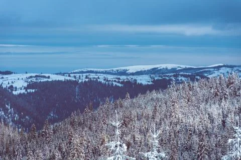 Dramatic and gorgeous wintry scene Stock Photos