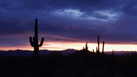 Dramatic Arizona Desert Sunrise Time-Lapse Footage With Cactus Silhouette Stock Footage 344699490