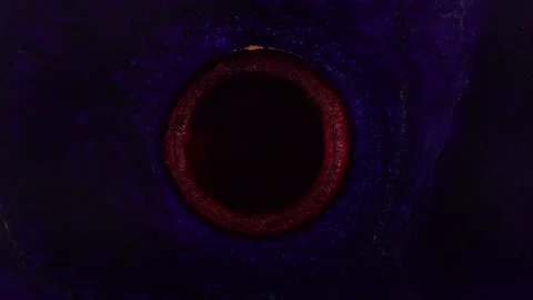 Dramatic artistic background video of movement black hole in outer space Stock Footage 229458369