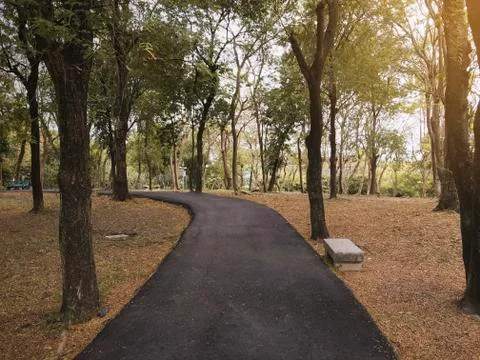 Dramatic asphalt path way in fall autumn public park with warm light for back Stock Photos