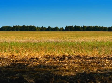 Dramatic autumn field landscape backdrop Stock Photos