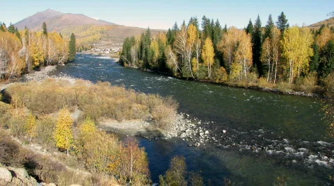 Dramatic autumn river  Vidéo 520778
