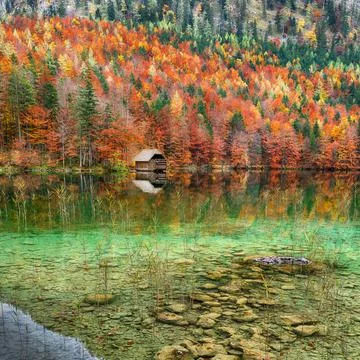 Dramatic autumn scene of Hinterer Langbathsee lake. Stock Photos