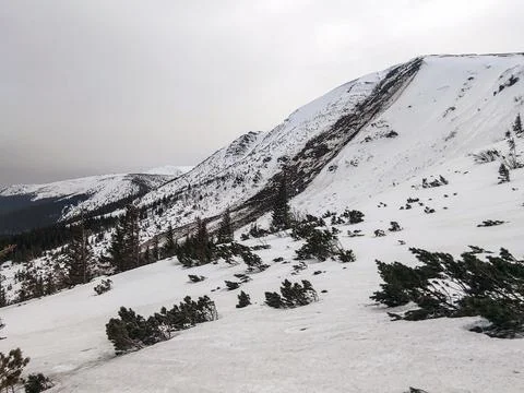A dramatic avalanche scar gouges a snow-covered mountainside. patches of ex.. Stock Photos