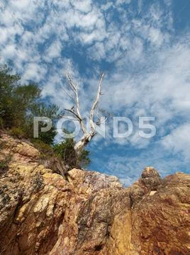Dramatic beach landscape Stock Photos
