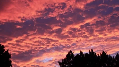 Dramatic Beautiful Fiery Sunset with Rolling Clouds and Pine Tree Silhouettes 4K Stock Footage 326497523