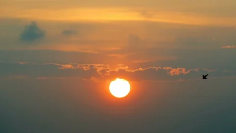 Dramatic beautiful sunset with cloudy sky and bird on evening Stock Footage 88010609