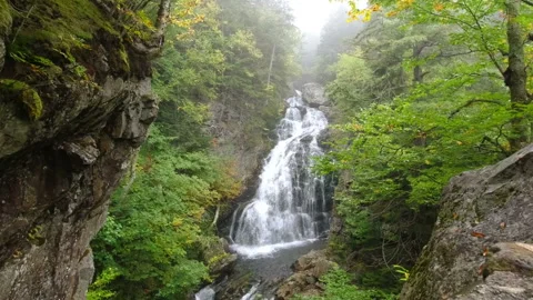 Dramatic Beautiful View of Waterfall in Forest 스톡 동영상 161401011
