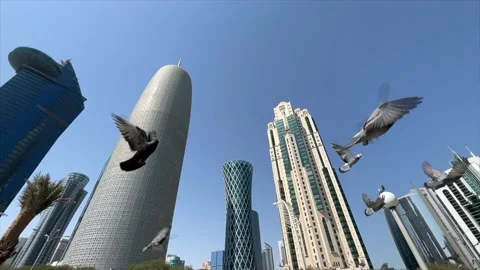 Dramatic birds flying from Doha Tower in Qatar Stock Footage 170877845