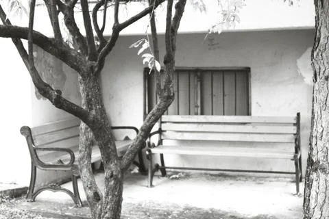 A Dramatic Black and White Shoot Stock Photos