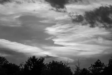 Dramatic black and white storm clouds over treeline 写真素材