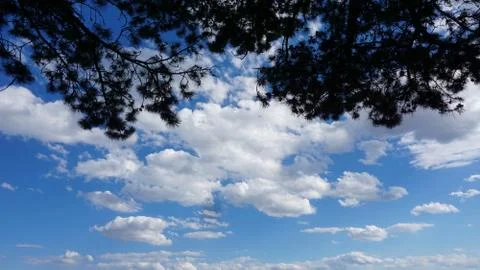 Dramatic blue and bright summer sky with white clouds Stock Photos