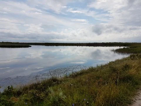 Dramatic blue and cloudy sky reflecting in a small lake with plants and the ocea Stock Photos
