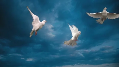 Dramatic blue clouds whit white doves Stock Footage 75924352