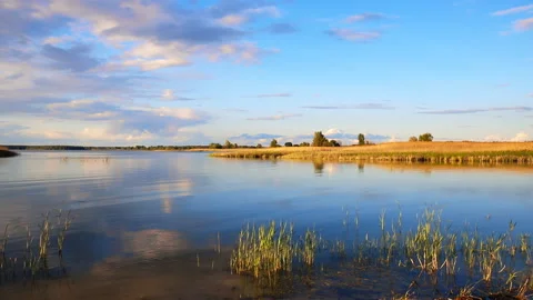 Dramatic blue evening tranquil sunset sky over dry grass field at pond lake Stock Footage 138197555