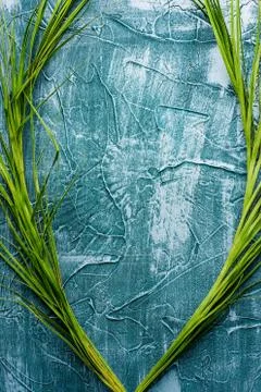 Dramatic blue grunge seamless stone texture venetian plaster background decor Stock Photos