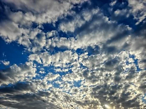 Dramatic Blue Sky Filled with White Altocumulus Clouds and Kites Stock Photos