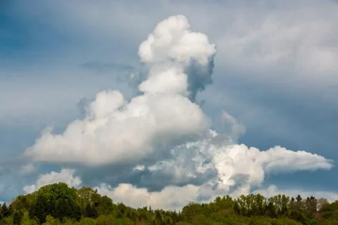Dramatic blue sky the forest and white and gray clouds Stock Photos