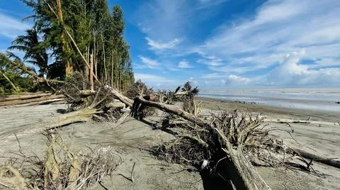 Dramatic Blue Sky on The Sea Beach beside Trees Stock Photos