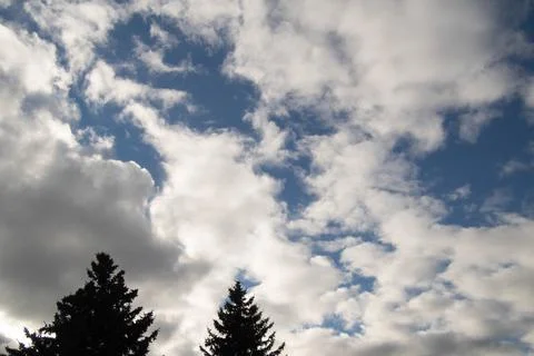 Dramatic blue sky with white fluffy clouds and tree silhouettes Foto stock