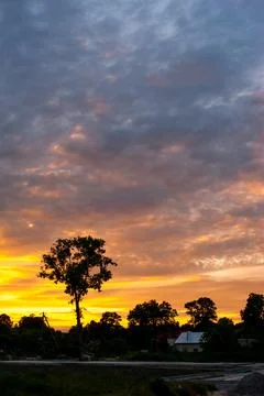 Dramatic bright sky at sunset, silhouettes of trees at golden hour Stock Photos