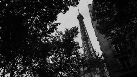 Dramatic B&amp;W View of Eiffel Tower through Trees 库存照片