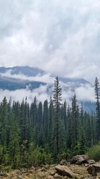 A dramatic Canadian mountain landscape featuring a rocky slope with scattered Stock Photos