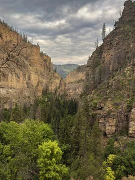 Dramatic Canyon View with Dense Forest and Stormy Skies Stock Photos