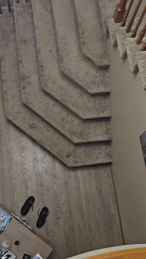 Dramatic Cat Vocalizes When Left Alone, Littleton, Colorado, USA - 13 Nov 2024 Stock Footage 292915157